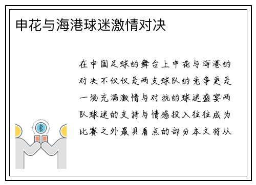 申花与海港球迷激情对决