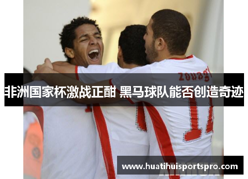 非洲国家杯激战正酣 黑马球队能否创造奇迹